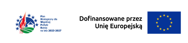 UE