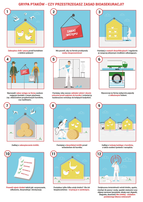 UWAGA GRYPA PTAKÓW!!