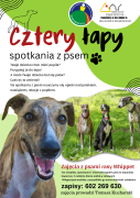 cztery łapy