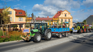 Zdjęcie 24