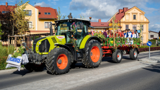 Zdjęcie 25