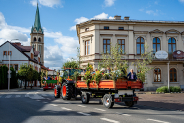 Zdjęcie 26