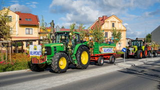 Zdjęcie 28