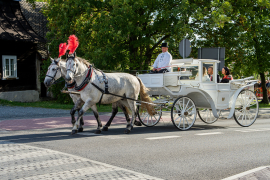 Zdjęcie 29