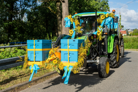 Zdjęcie 50