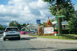Zdjęcie 93