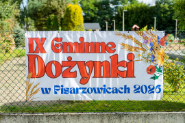 Zdjęcie 95