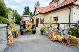 Zdjęcie 98
