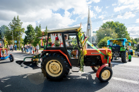 Zdjęcie 109