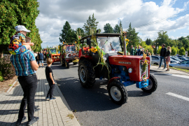 Zdjęcie 110