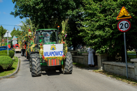 Zdjęcie 139