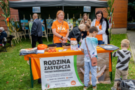 Zdjęcie 62