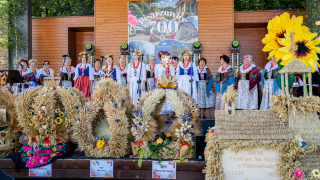 Zdjęcie 78