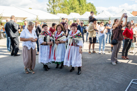 Zdjęcie 79
