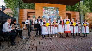Zdjęcie 96