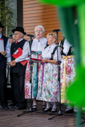 Zdjęcie 110