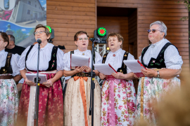 Zdjęcie 111