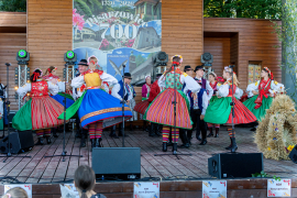 Zdjęcie 196