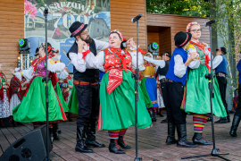 Zdjęcie 219