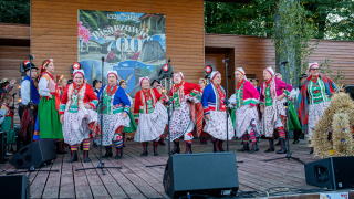 Zdjęcie 246