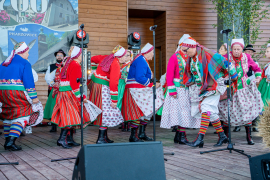 Zdjęcie 247