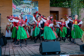 Zdjęcie 253