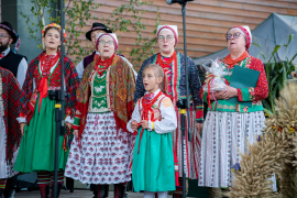 Zdjęcie 260