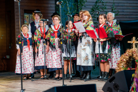 Zdjęcie 291