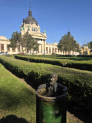 Zdjęcie 14
